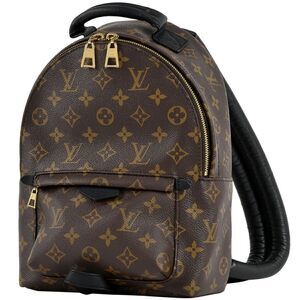 Louis Vuitton Palm Springs PM Rucksack Monogram Backpack